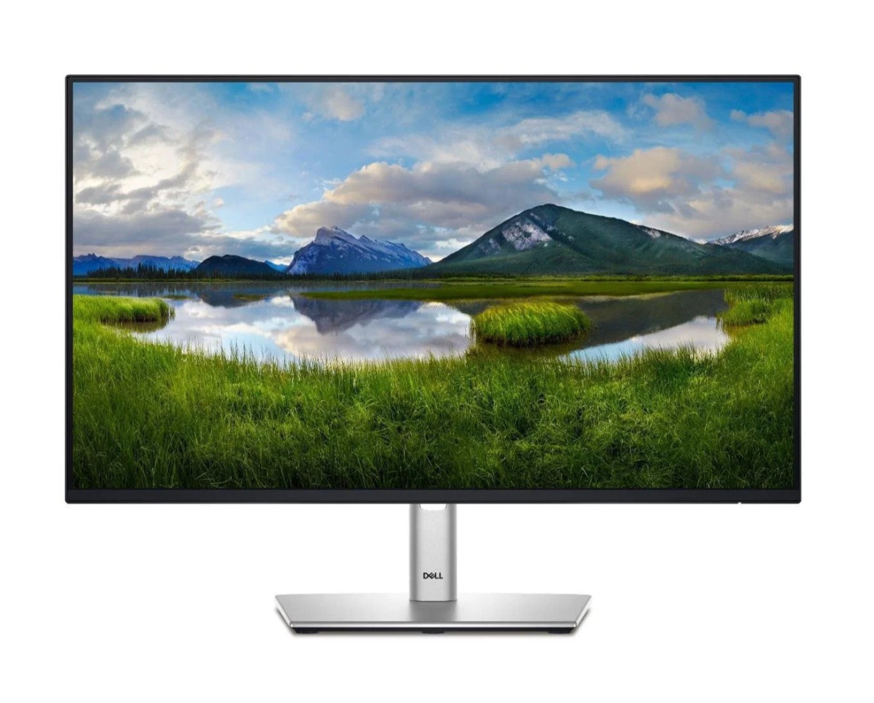 24" LCD Dell Pro P2425H