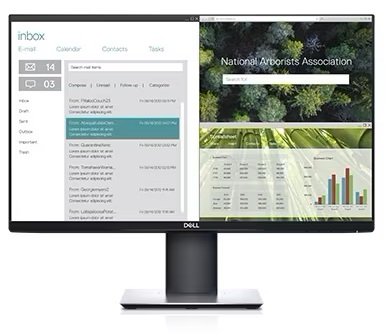 23.8" LCD Dell Professional P2419HC