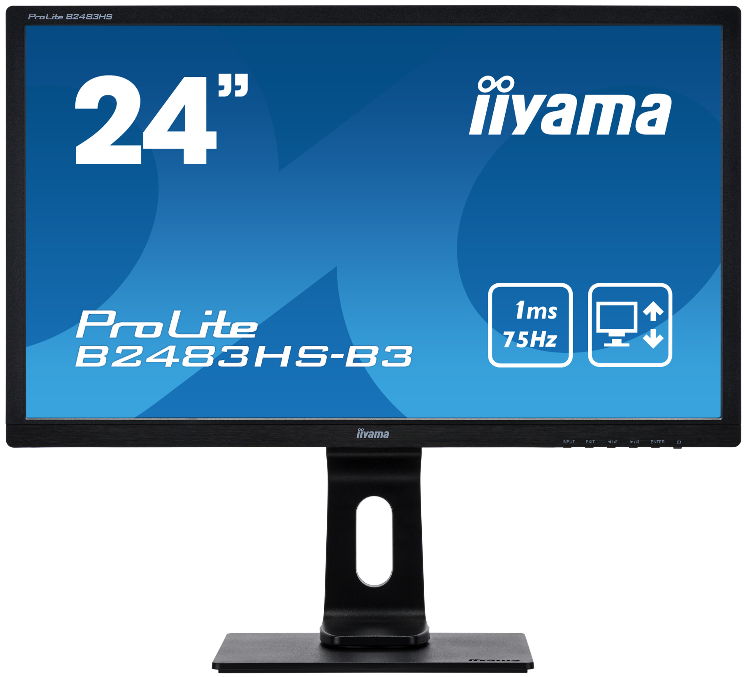 24" iiyama ProLite B2483HS-B3